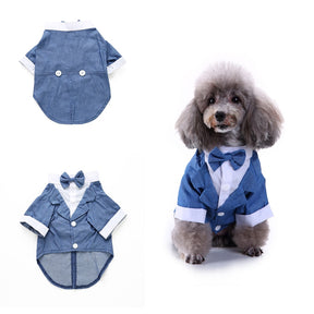Cute Tailcoat Pet Suit
