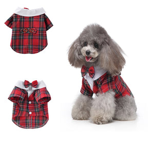 Cute Tailcoat Pet Suit
