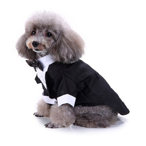 Cute Tailcoat Pet Suit