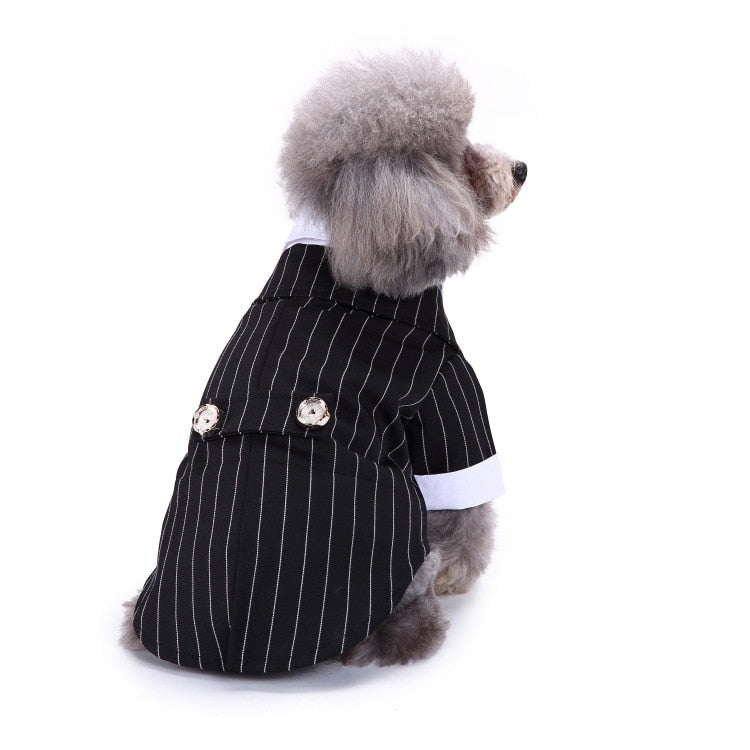 Cute Tailcoat Pet Suit