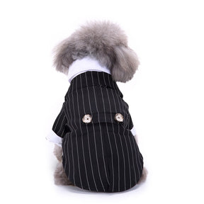 Cute Tailcoat Pet Suit