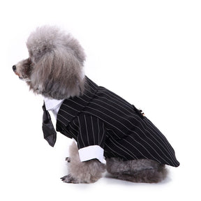 Cute Tailcoat Pet Suit