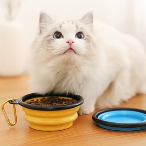 Portable Folding Pet Bowl
