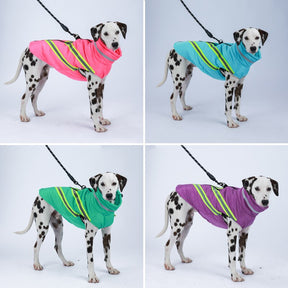 Waterproof Winter Dog Jacket