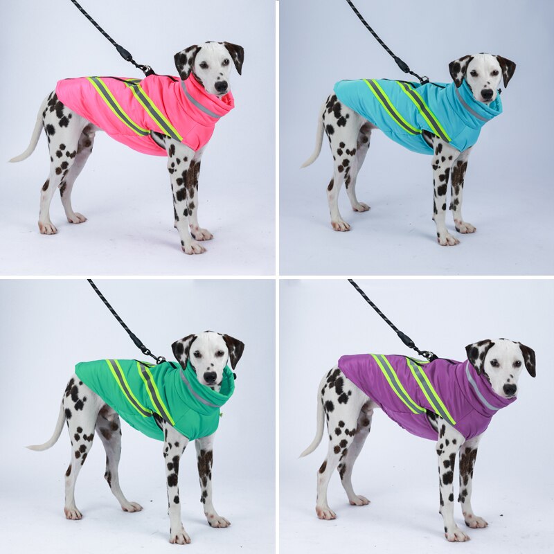 Waterproof Winter Dog Jacket