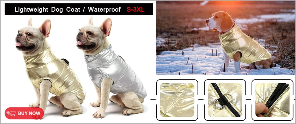 Princess Pet Tulle Dress