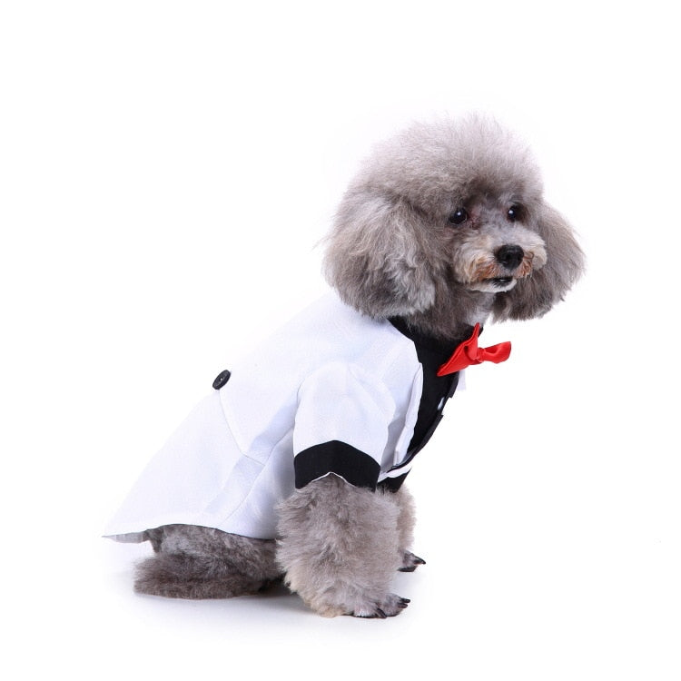 Cute Tailcoat Pet Suit