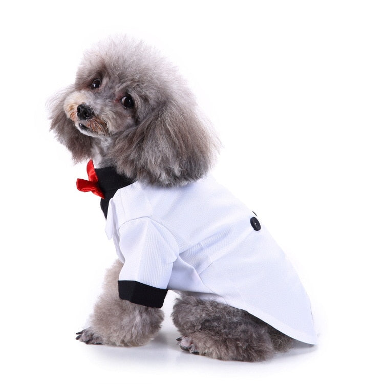 Cute Tailcoat Pet Suit