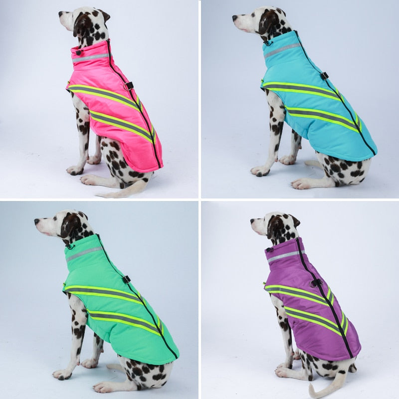 Waterproof Winter Dog Jacket