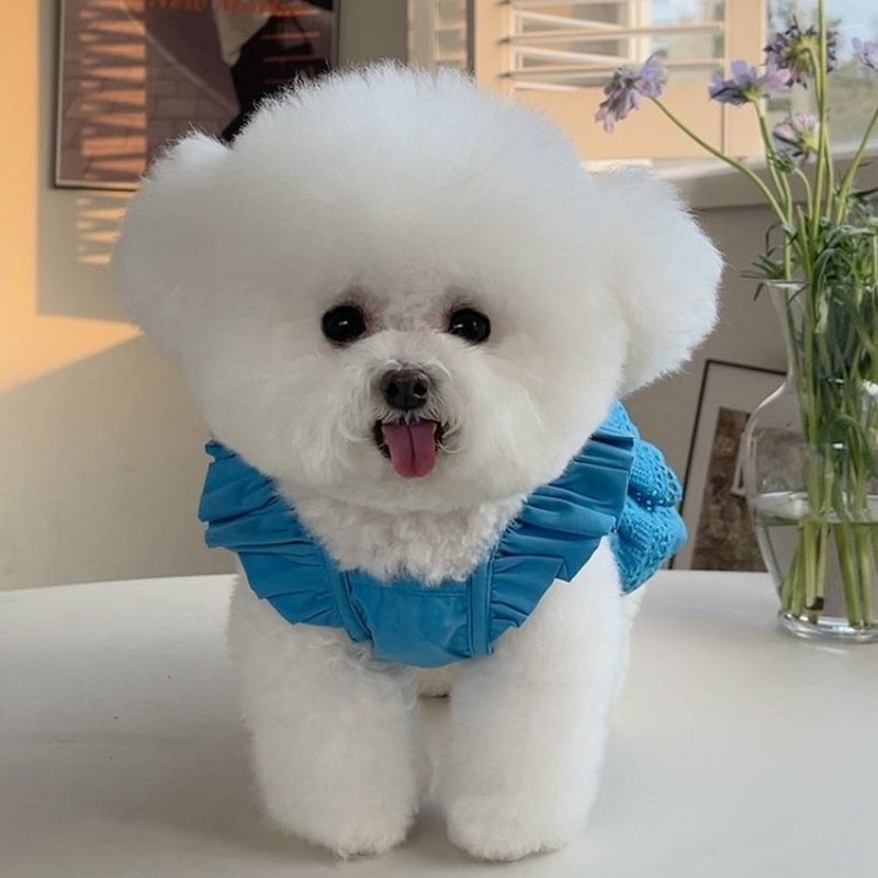 Fashion Puppy Lace Skirt