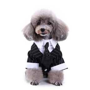 Cute Tailcoat Pet Suit