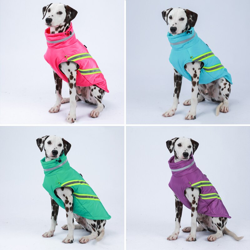 Waterproof Winter Dog Jacket