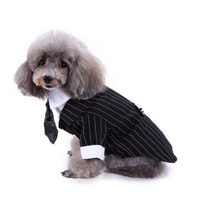 Cute Tailcoat Pet Suit