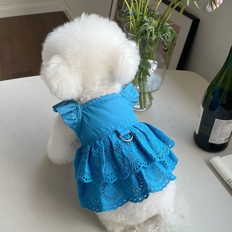 Fashion Puppy Lace Skirt