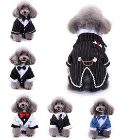 Cute Tailcoat Pet Suit