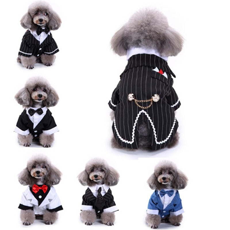 Cute Tailcoat Pet Suit