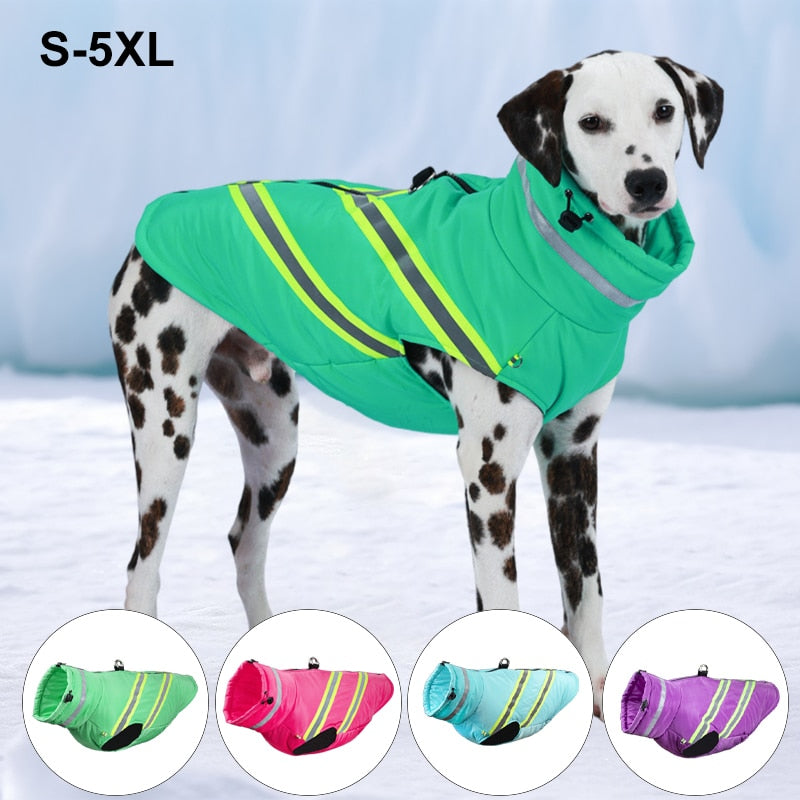 Waterproof Winter Dog Jacket