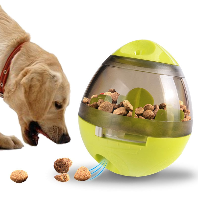Interactive Pet Toy Feeder