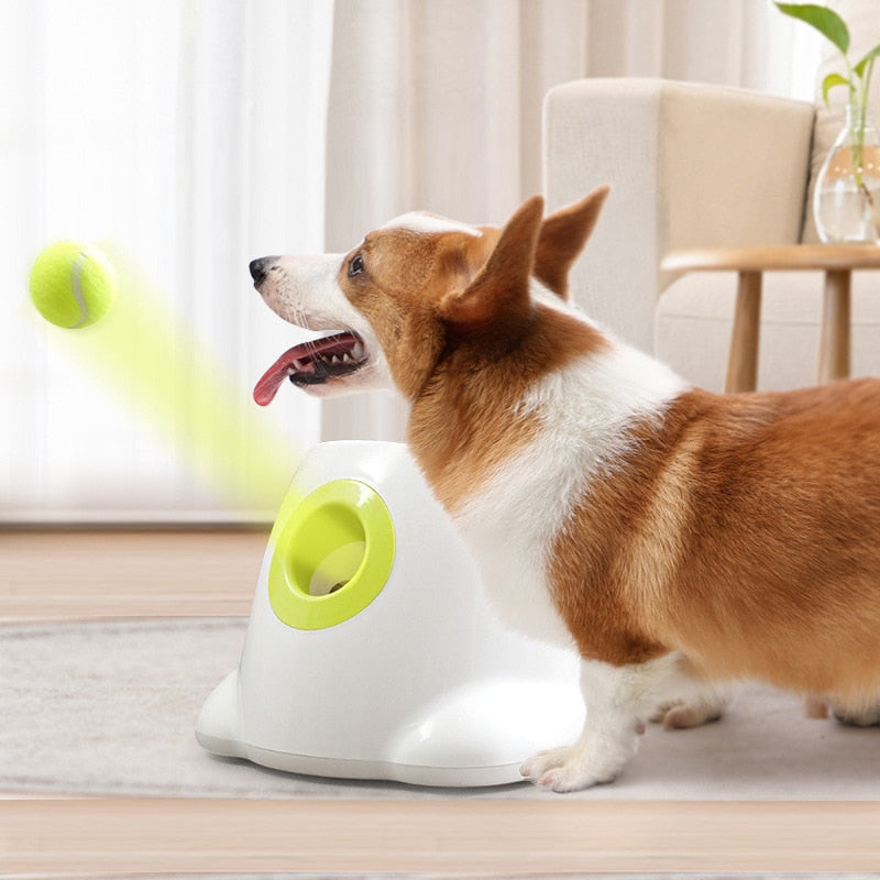 Automatic Pet Tennis Launcher